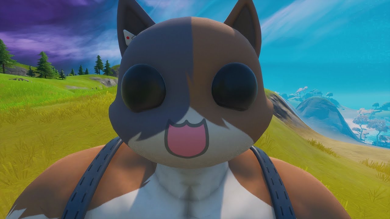 MEOWSCLES BONUS IN GAME ABILITY (How Is The Meowscles Skin REACTIVE?)
