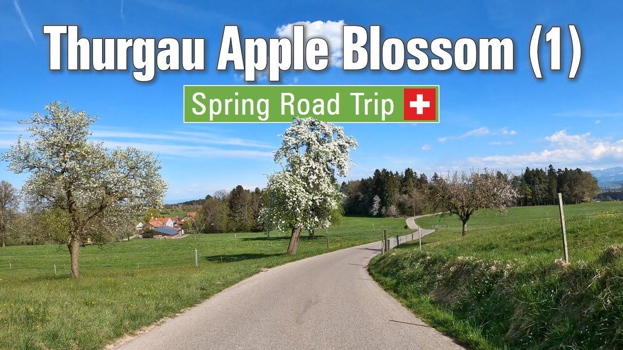 Spring in Switzerland 🇨🇭 Ep#6 • Road Trip through the Thurgau apple blossom landscape Pt. 1 🍎 [4K]