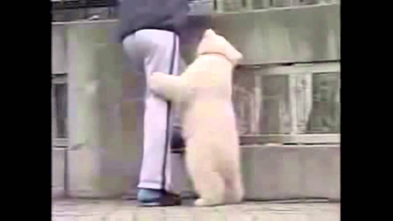 МИ МИ МИШКИ