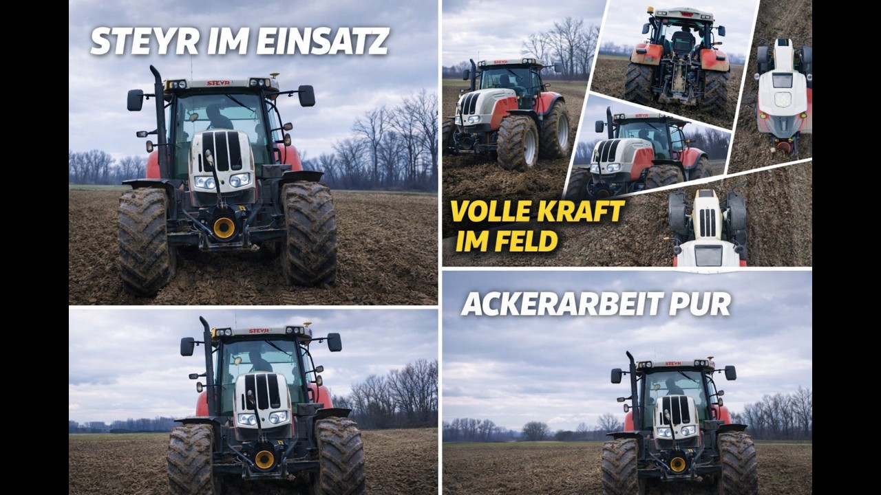 Steyr in Action