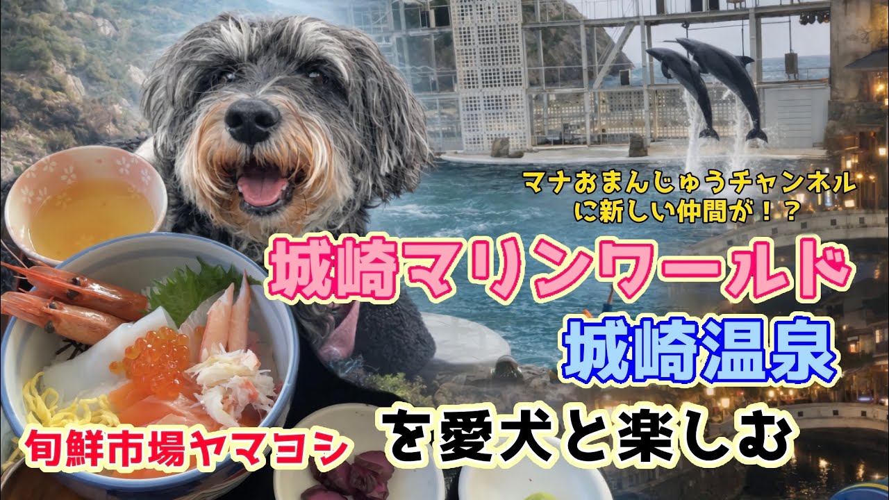 【犬旅】城崎温泉旅行、城崎マリンワールドが最高すぎた＆ヤマヨシ旬鮮市場【兵庫県】