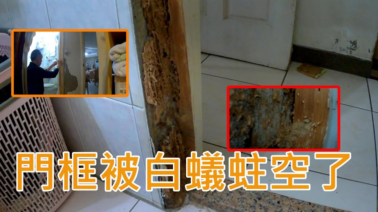 白蟻搞破壞 DIY修門框 #田哥田嫂#