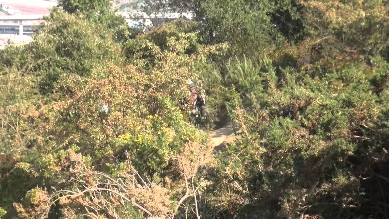 DH la reineta 2014