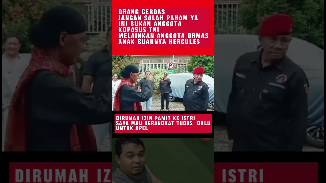 kelakuan lucu ormas #hercules #viralshorts #viralvideo #kdm
