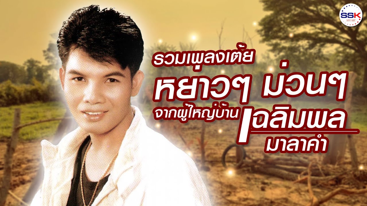 รวมเพลงเต้ยหย่าวๆ จาก 2 อัลบั้ม ผิดหรือที่จะรัก ศรีสะเกษกันเอง ม่วนๆ จ๊วดอย่างเดียว - เฉลิมพล มาลาคำ