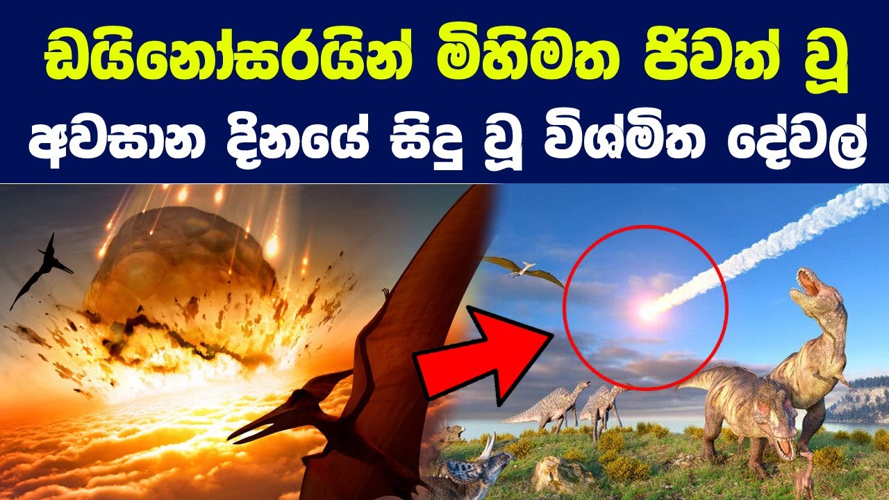 ඩයිනෝසරයින් මිහිමත ජිවත් වූ අවසාන දිනයේ සිදුවූ විශ්මිත දේවල් | Story of  The Last Day of Dinosaurs