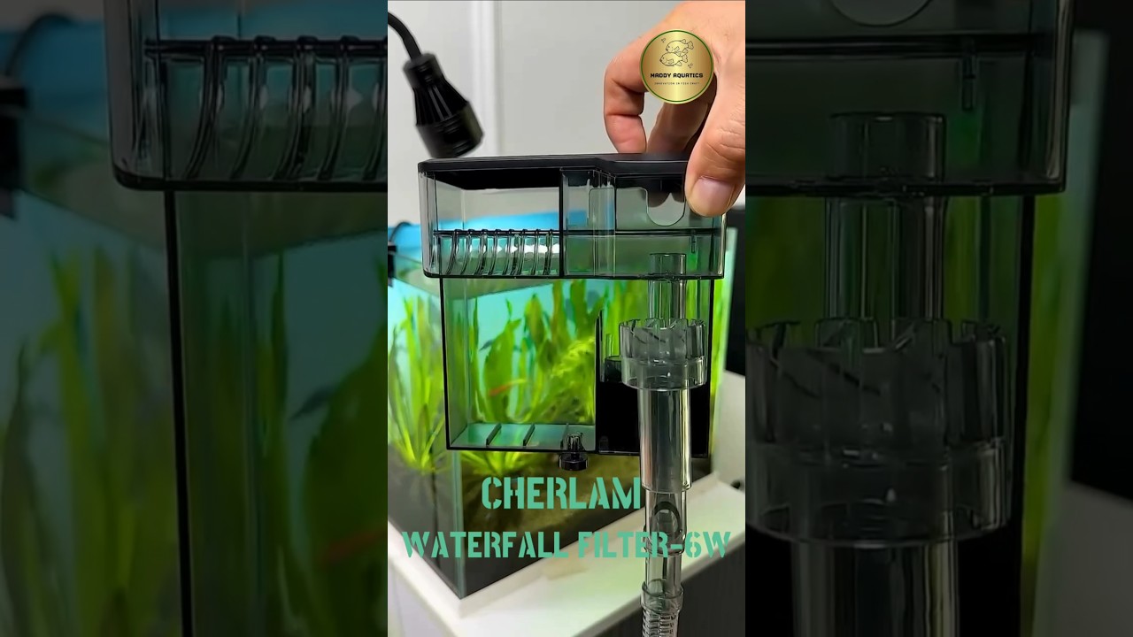 Тестирование фильтра Cherlam Waterfall мощностью 6 Вт #aquarius #shortsvideo #aquascape #pets #fish