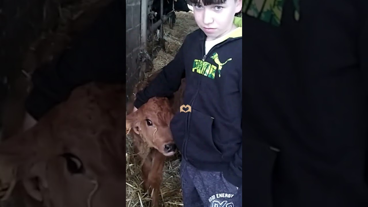 DIAPO L AGRICULTURE