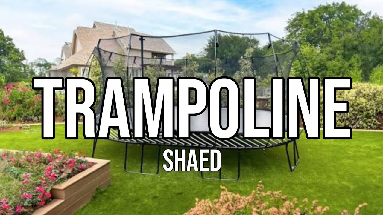 SHAED - Trampoline (Lyrics)
