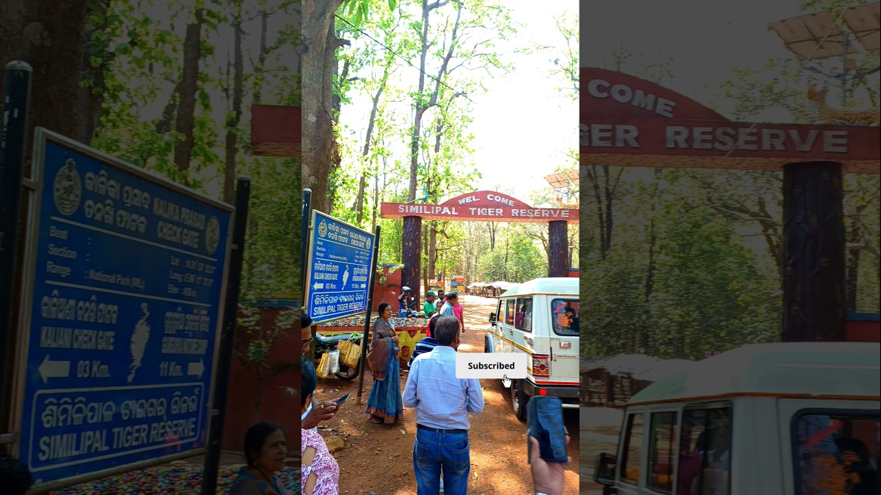 similipal tiger reserve national park 