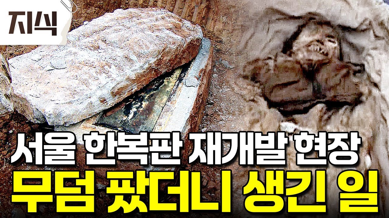 이집트도 아니고 대한민국에서 발견된 미라들. 최첨단 과학기술로 어떤 사람이었는지 알아보니... #과학 #EBS지식