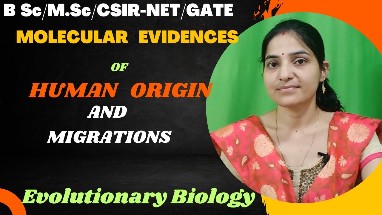 Molecular Evidences Of Human Origin And Migration B.Sc 2nd Year||#humanevolution.#molecularevidences