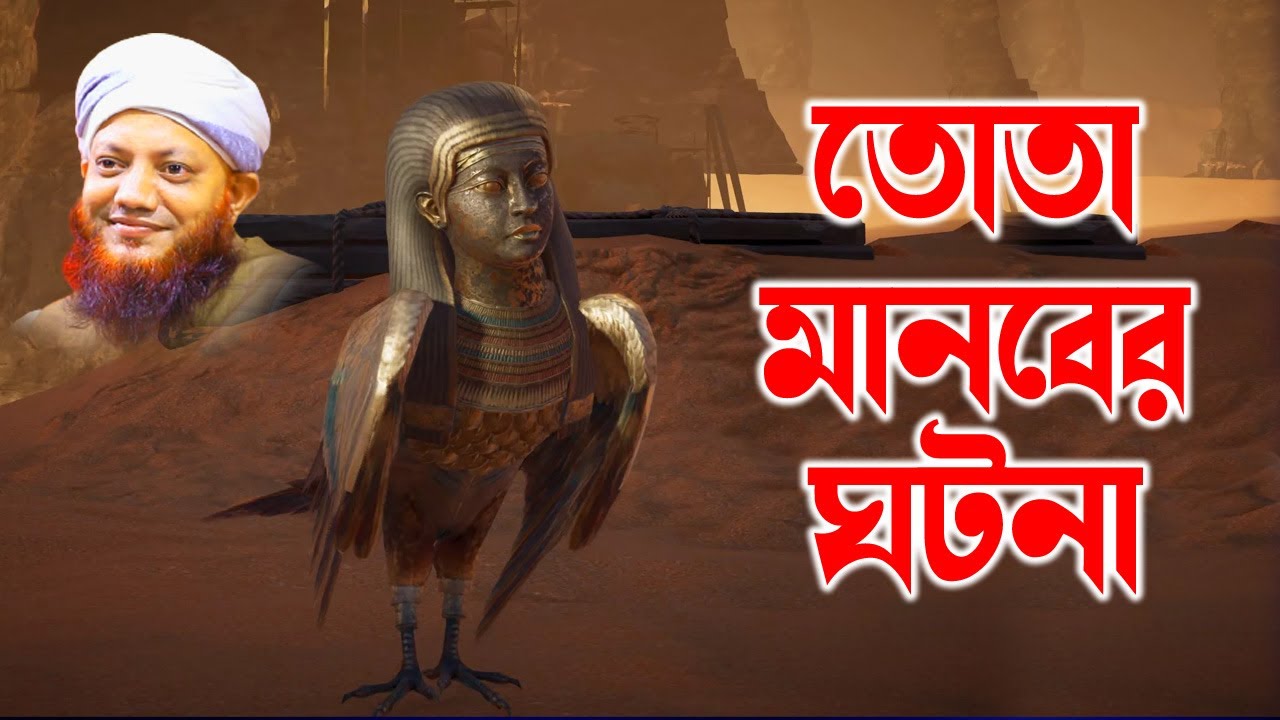 কামরুল ইসলাম আরেফী | Kamrul Islam arifi | Kamrul Islam arefi | একটি তোতা পাখির ঘটনা | homna tv