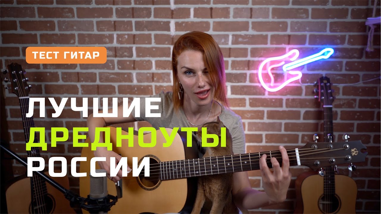 Обзор дредноутов Newtone D-1