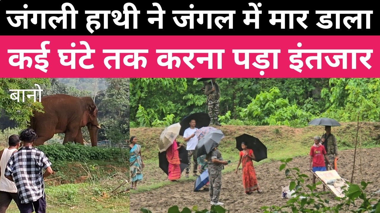 जंगली हाथी ने मार डाला ।कई घंटे तक ग्रामीण परेशान