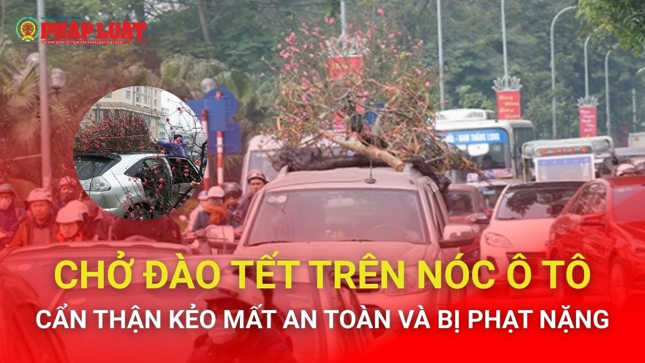 Chở đào Tết trên nóc ô tô: Cẩn thận kẻo mất an toàn và bị phạt nặng