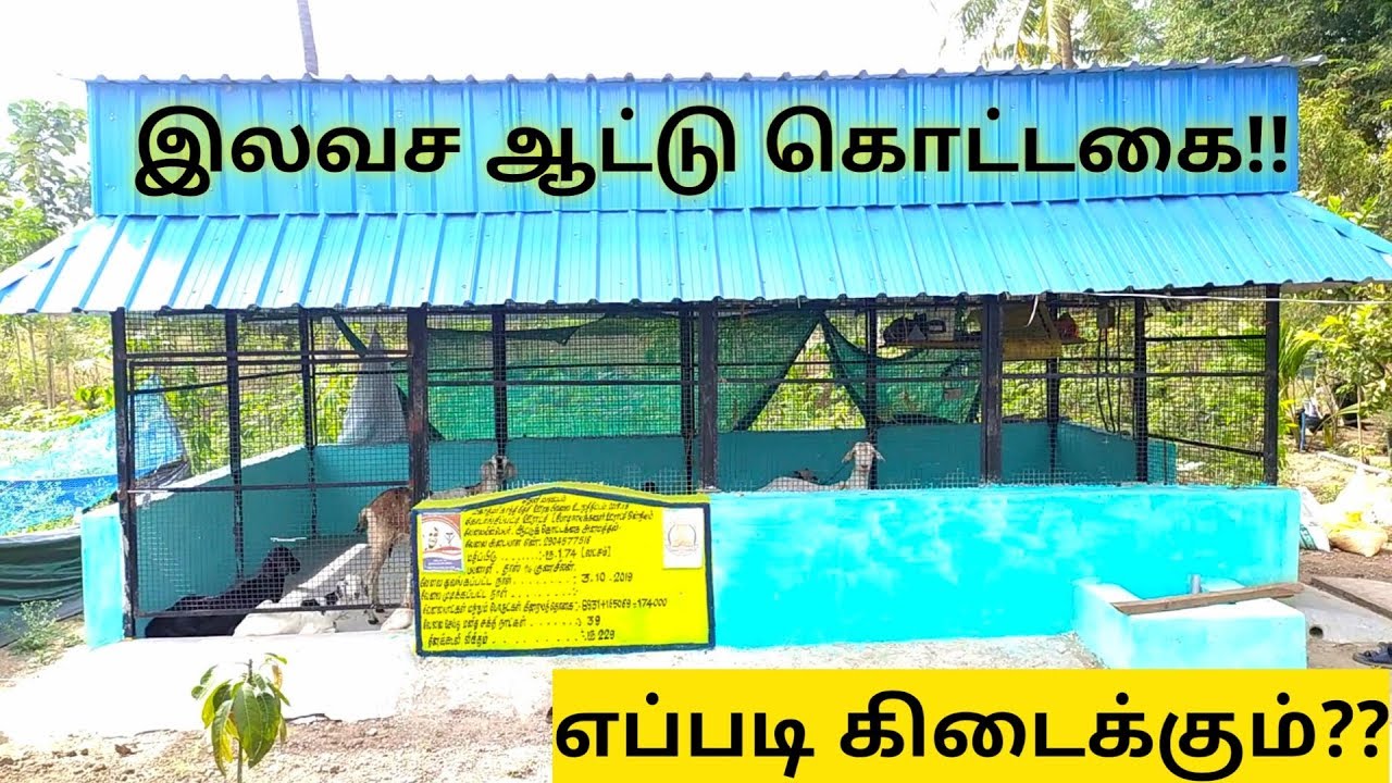 அரசின் இலவச ஆட்டு கொட்டகை - Free Goat shed | எப்படி விண்ணப்பிப்பது?