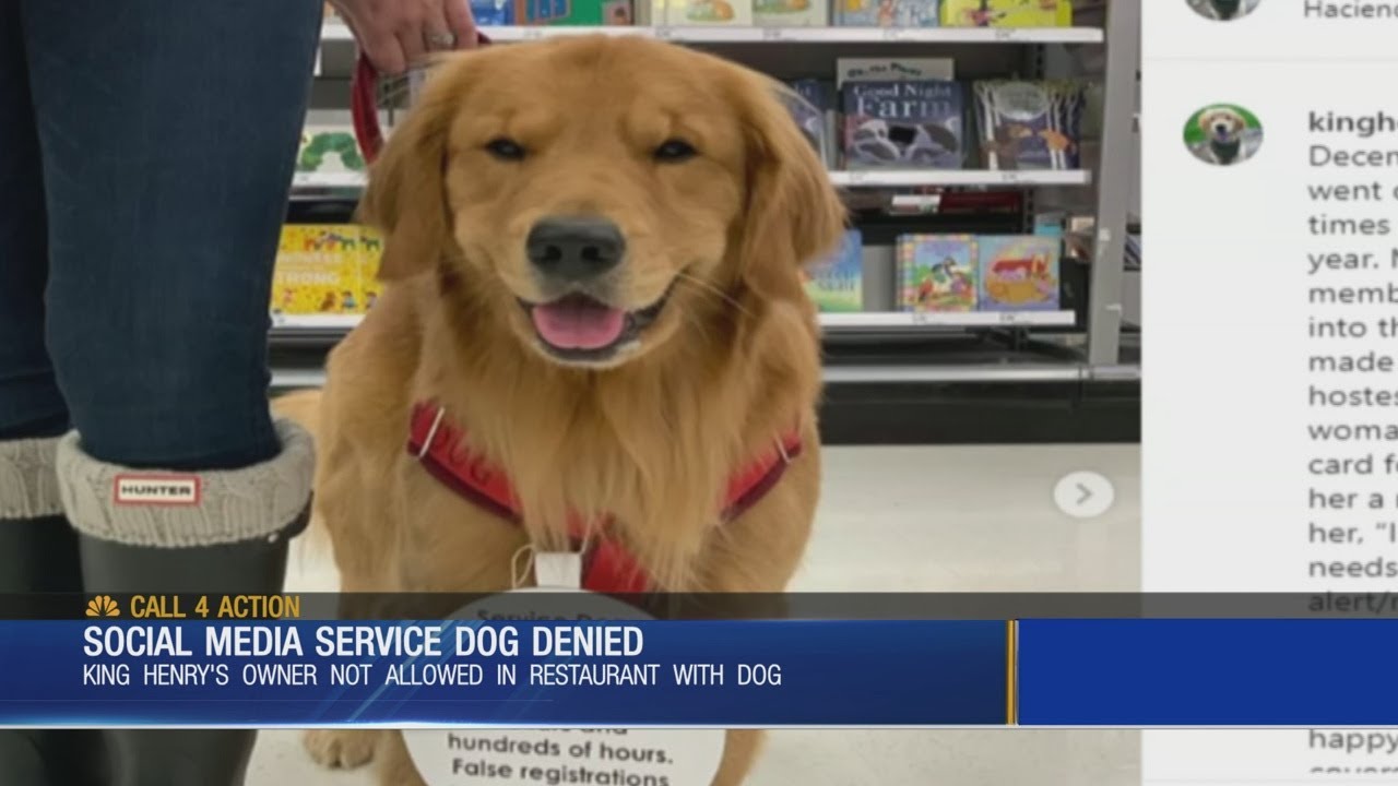 Service Dog Denied At New York Restaurant