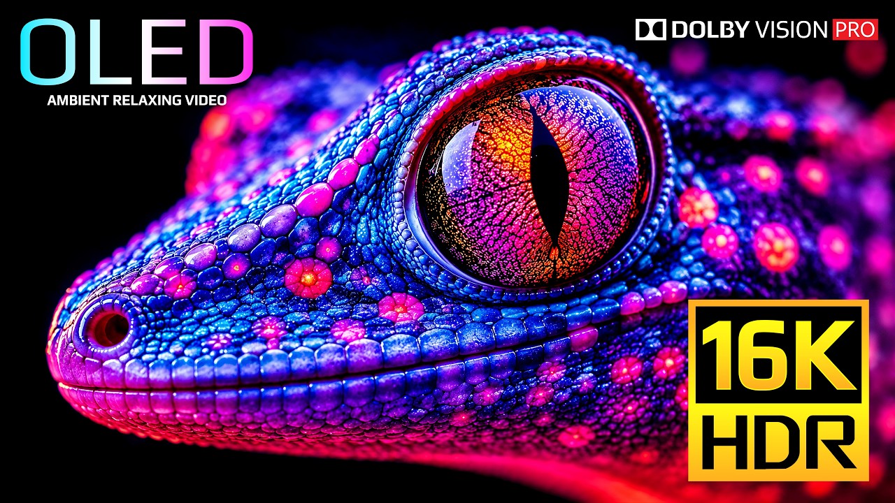 HDR at Full Power | 16K 120fps Dolby Vision (4K/8K OLED TV Demo)