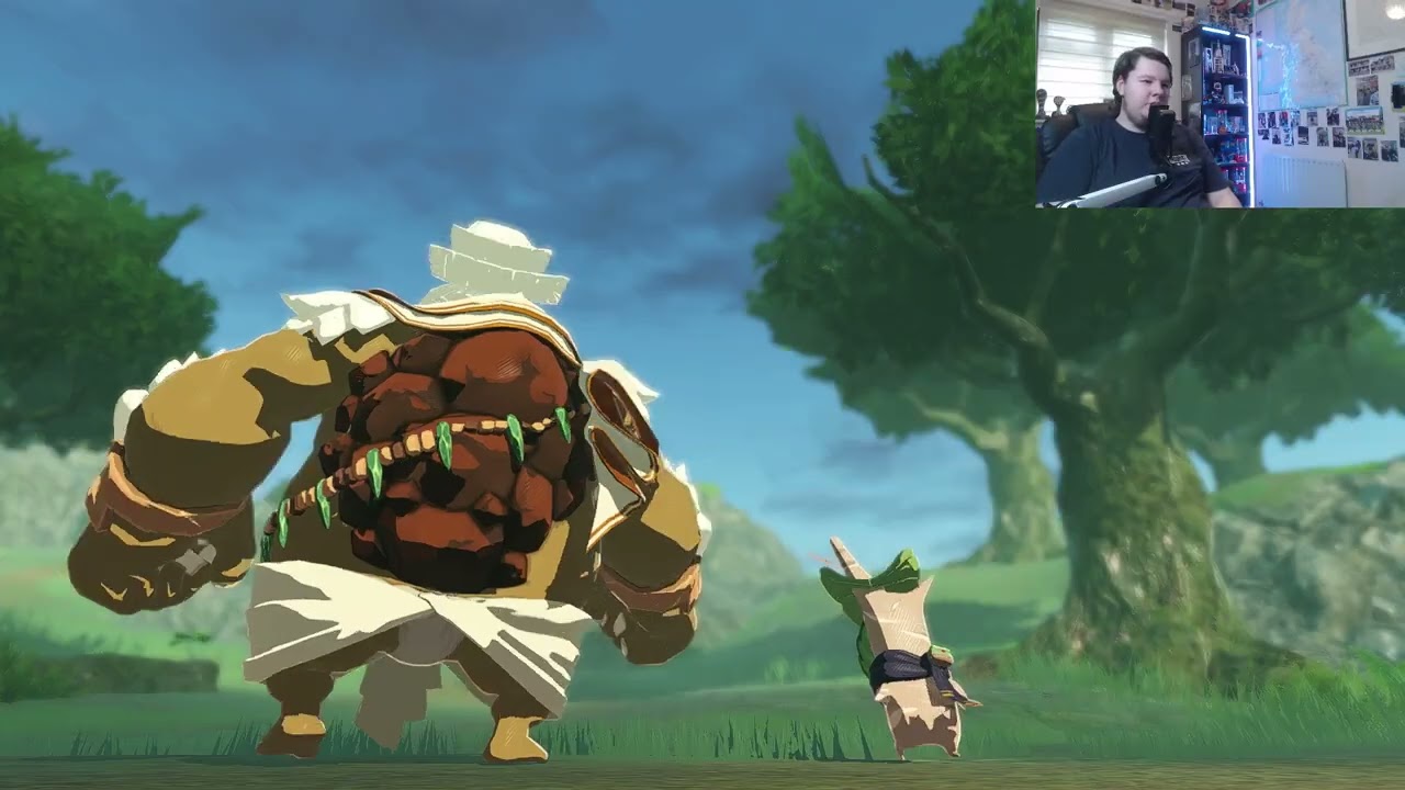 Taking back the desert (Hyrule Warriors: Age of Imprisonment #16)