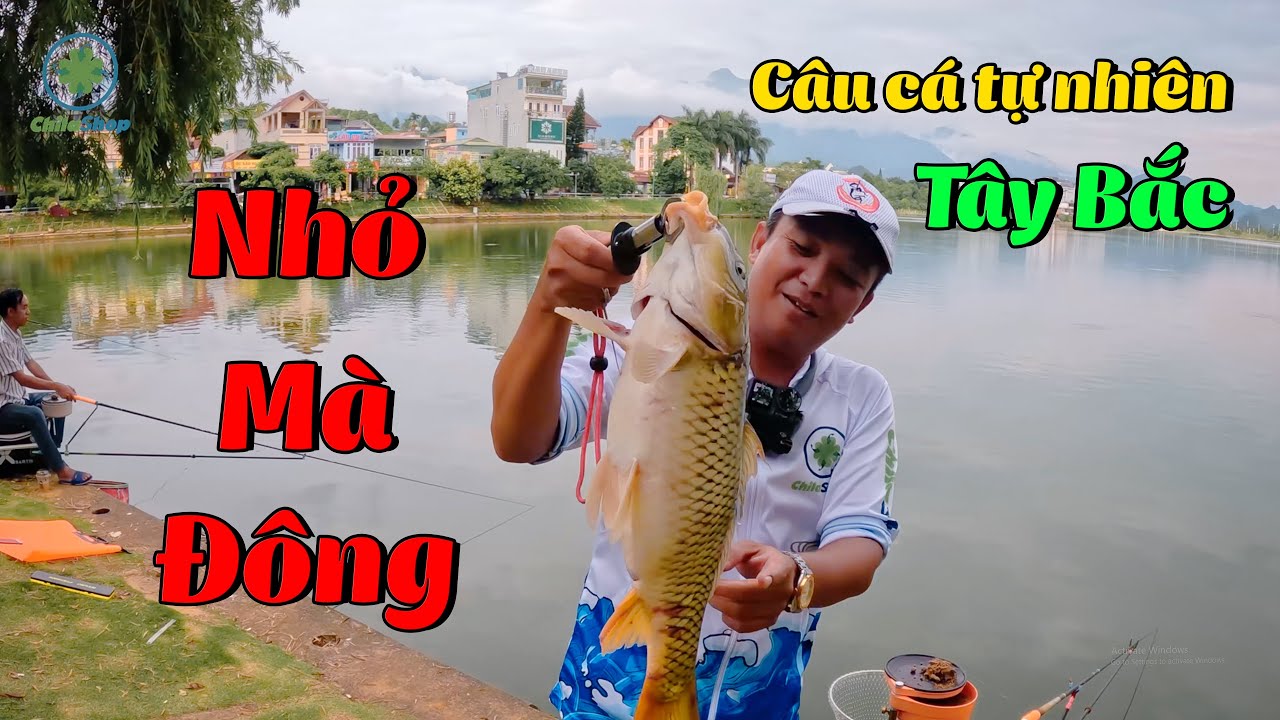 GIẬT MỎI TAY VẪN CHƯA ĐỦ ĂN - HỒ THUỶ SƠN - LAI CHÂU