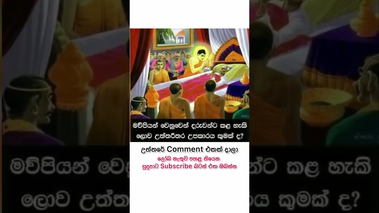 අම්මට තාත්තට වඩා කොහෙද ලෝකයක්#best #best #trending #shorts #shortvideo #shortsfeed #news #love