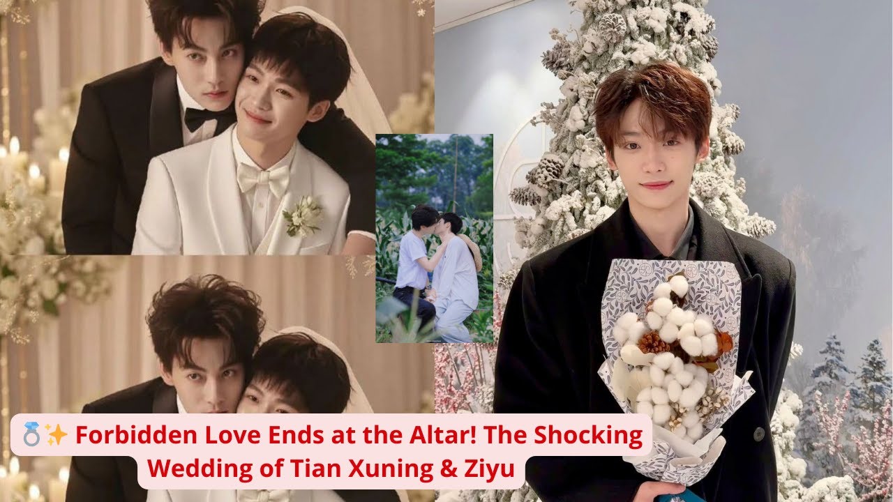 🔴 Shocking Reason! Tian Xuning Finally Marries Ziyu