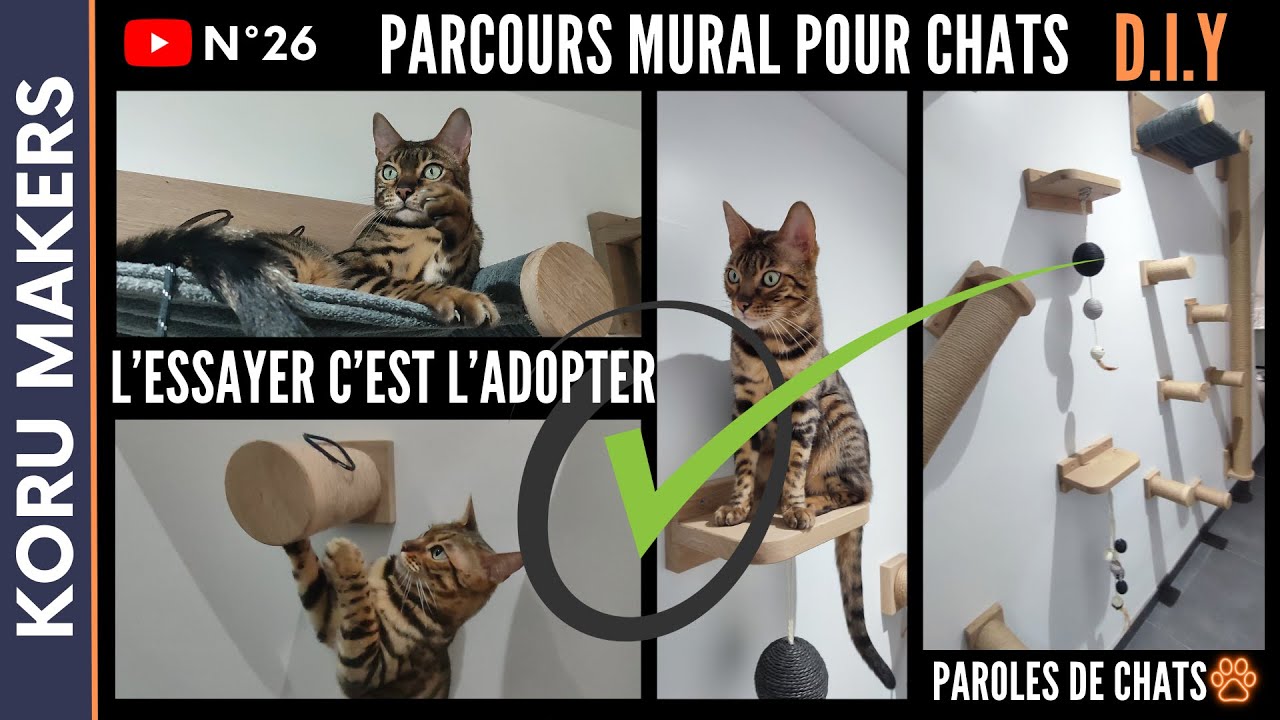 Parcours mural simple pour chats