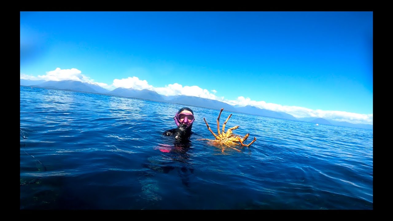 TWO ROUNDS AT JACKSONS BAY!! (NEW ZEALAND FREEDIVING)
