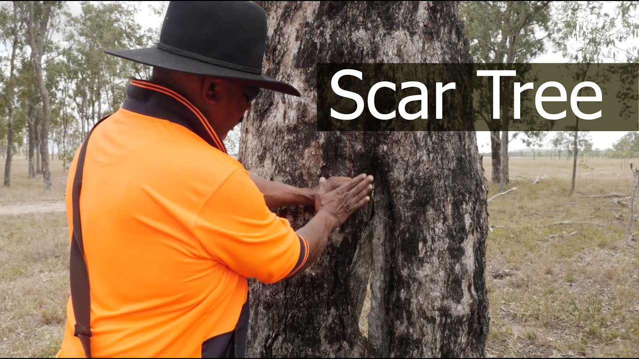 Sam  Scar Tree R4 v1