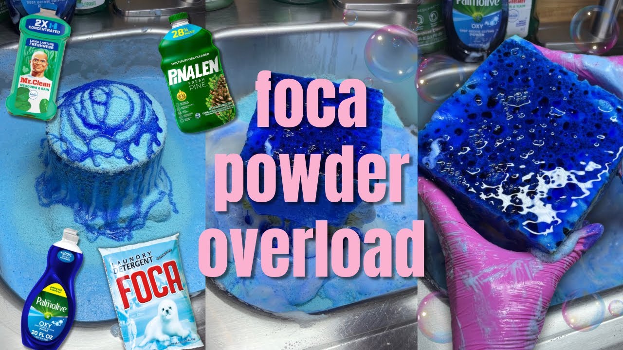 Foca Powder Overload Sponge ASMR 🦭🫧💙🧺