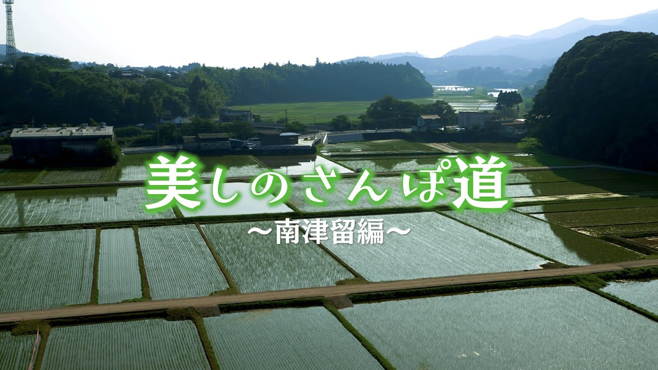臼杵市の街並み・風景を4Kカメラで撮影【美しのさんぽ道＃1 南津留篇】