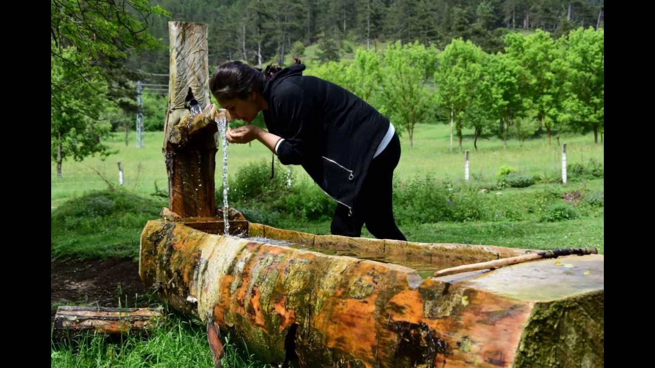Doğa harikası Kunduz Ormanı Samsun Vezirköprü
