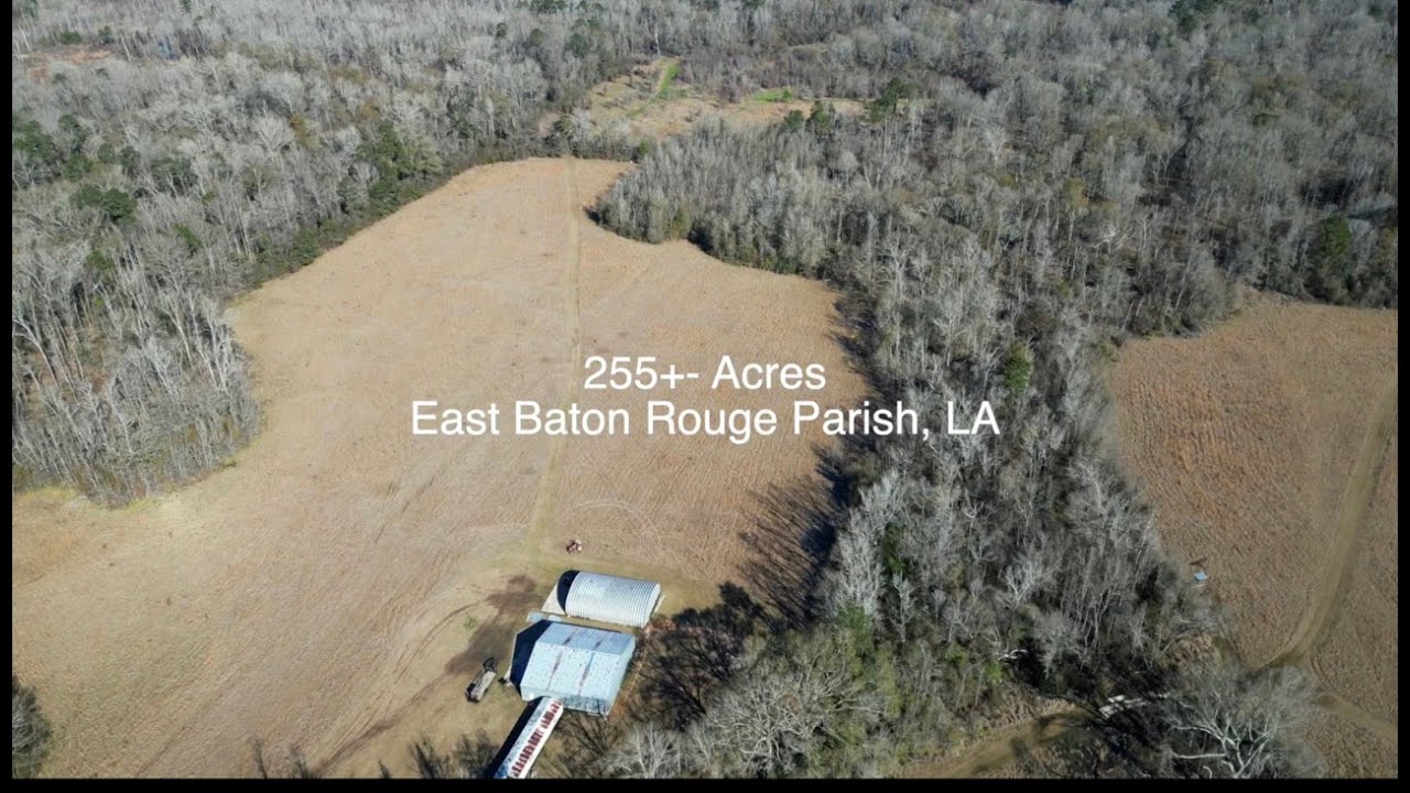 255+- Acres in Zachary, LA for Sale
