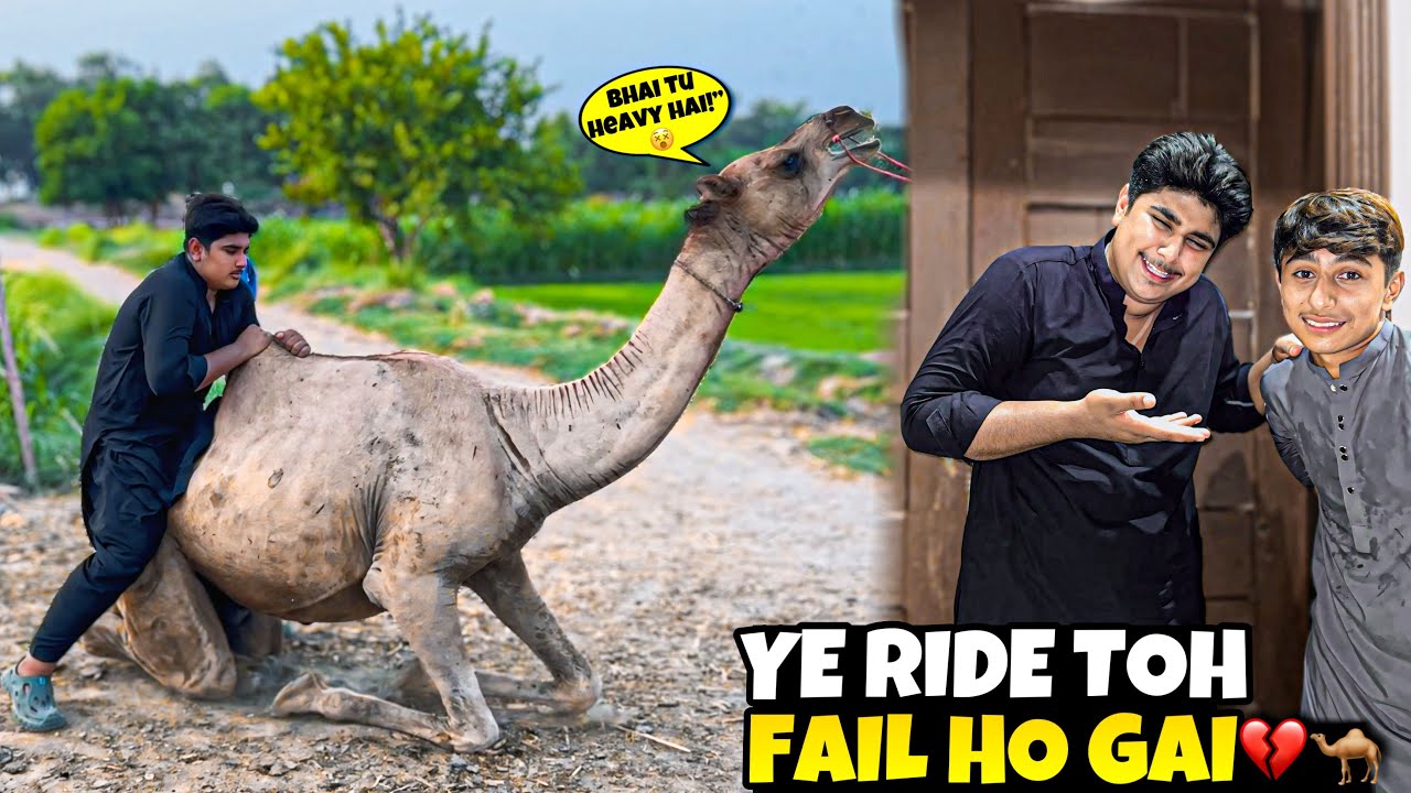Meri Camel Ride Ka Sapna Toot Gaya 💔 | Funny Vlog