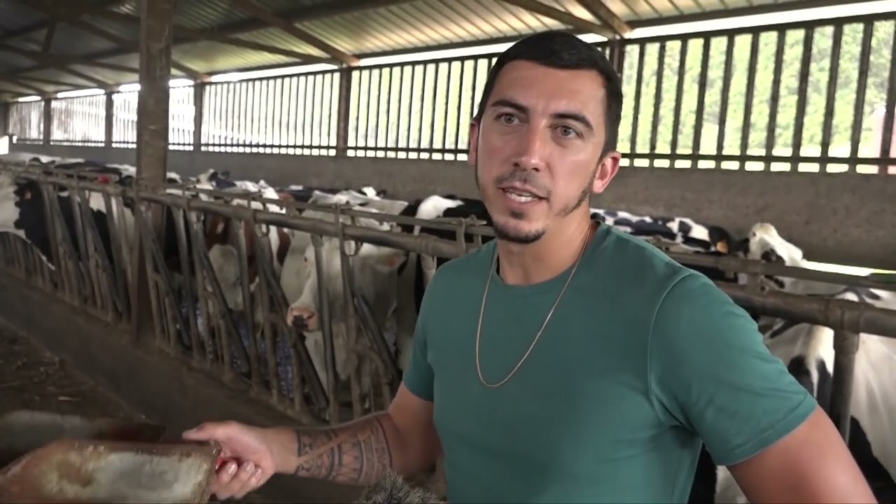 Améliorer le bien être animal en élevage laitier