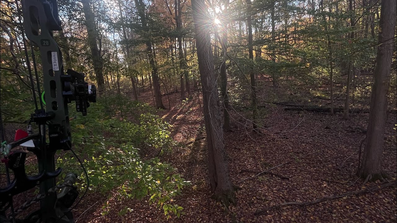MICHIGAN .410 DOE HUNT (SUPRISE ENDING)