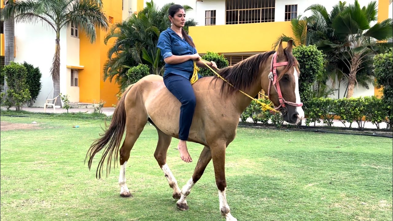 shivani ko milne gye ajj hum.. or