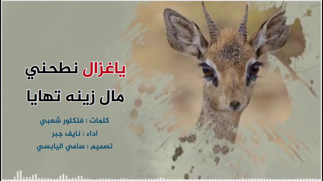 ياغزال نطحني مال زينه تهايا كلمات فلكلور شعبي اداء نايف جبر