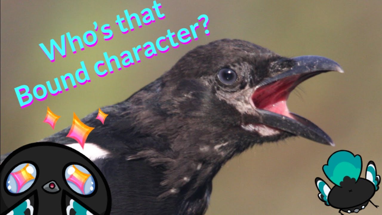 Who's That Bound Character?