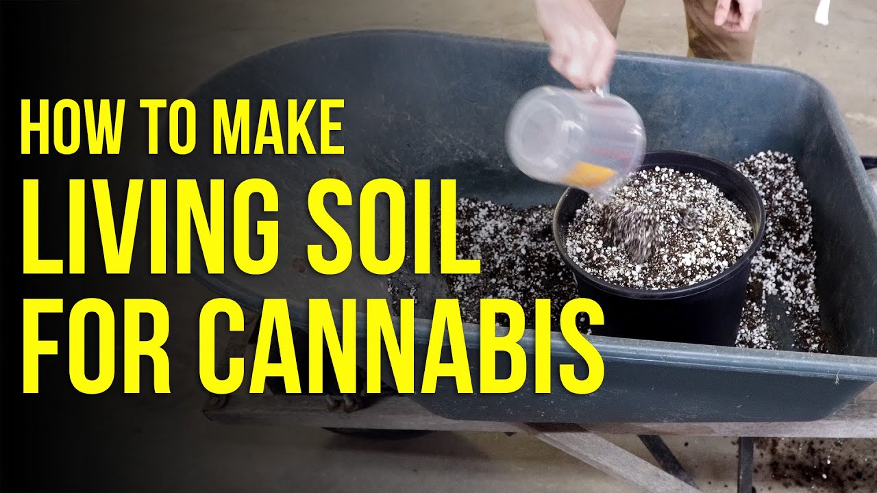 How to Make a Living Soil