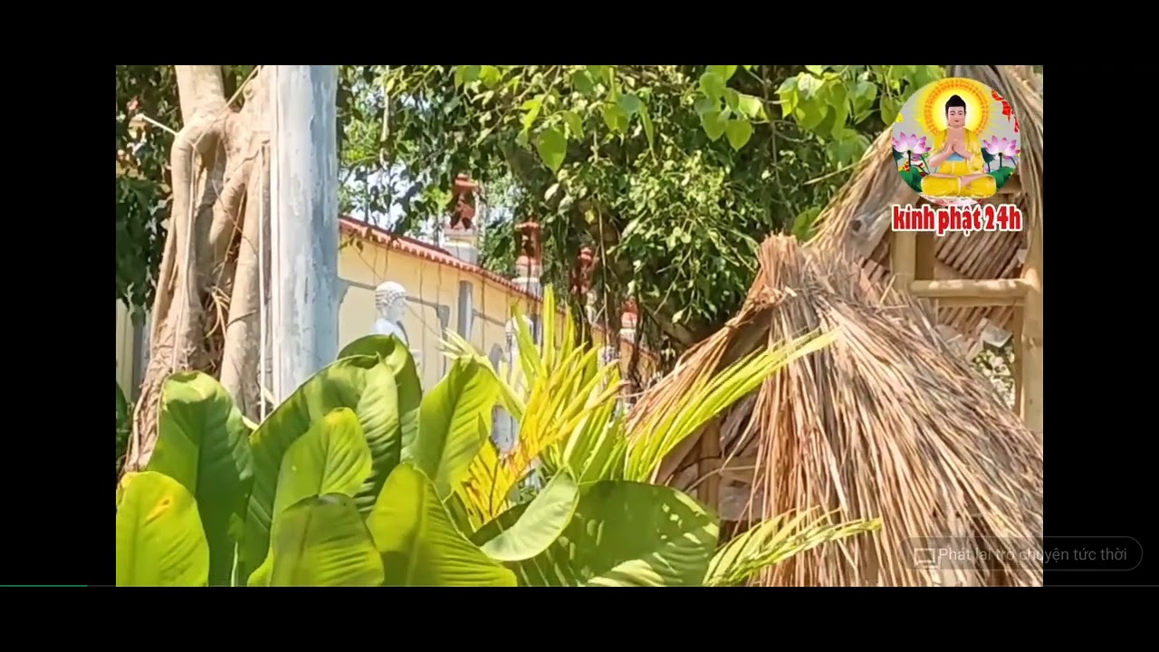 Tụng Kinh dược sư cầu mong bệnh tật mau khỏi 