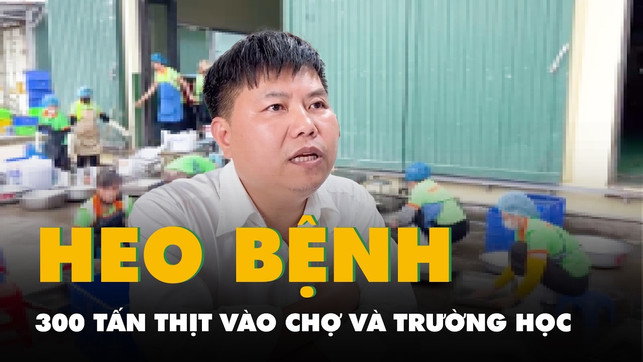 Vụ 300 tấn thịt heo bệnh v&agrave;o chợ, trường học: C&ocirc;ng ty Suất ăn c&ocirc;ng nghiệp H&agrave; Nội n&oacute;i g&igrave;?