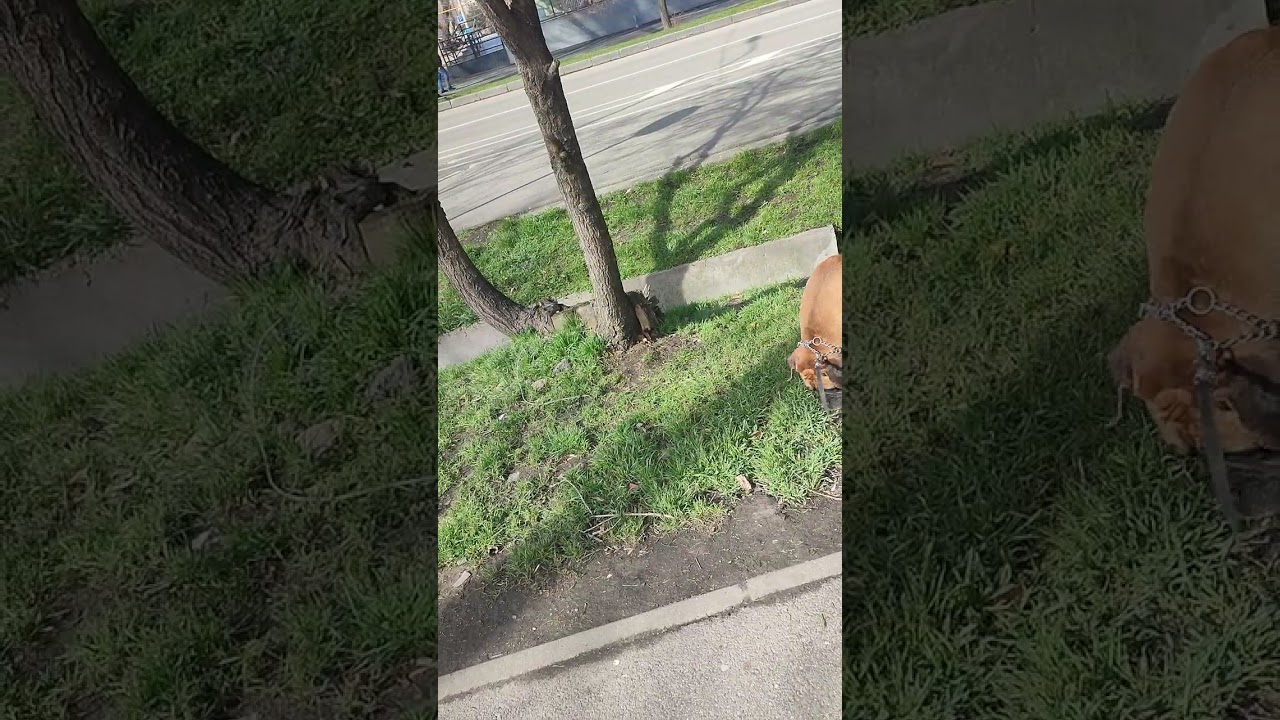 Доброго прекрасного утра#9 марта🌞🌞🌞