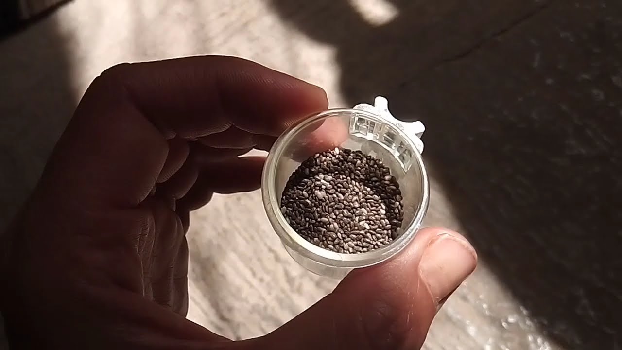 PROPIEDADES Y PRECAUCIONES CON CIERTAS PLANTAS Y SEMILLAS EN LA CRÍA DE PÁJAROS.
