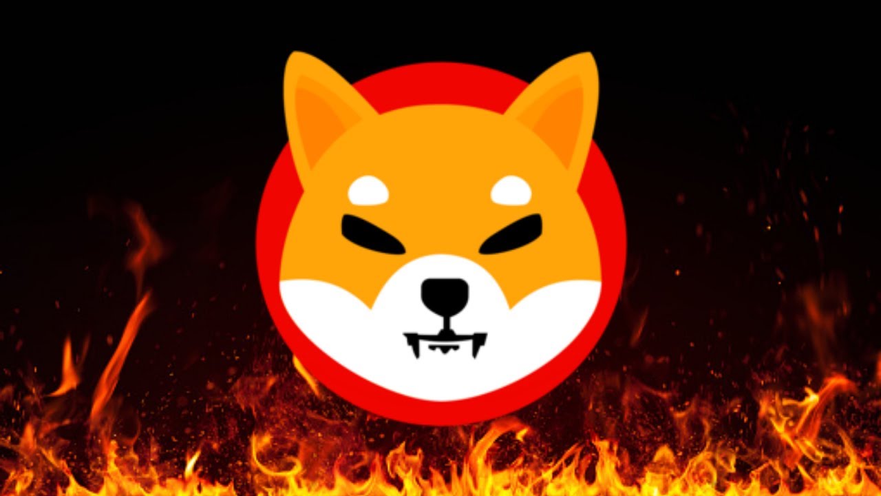 SHIBA INU COIN (SHIB): THE BREAK DOWN FOR THE END GAME!