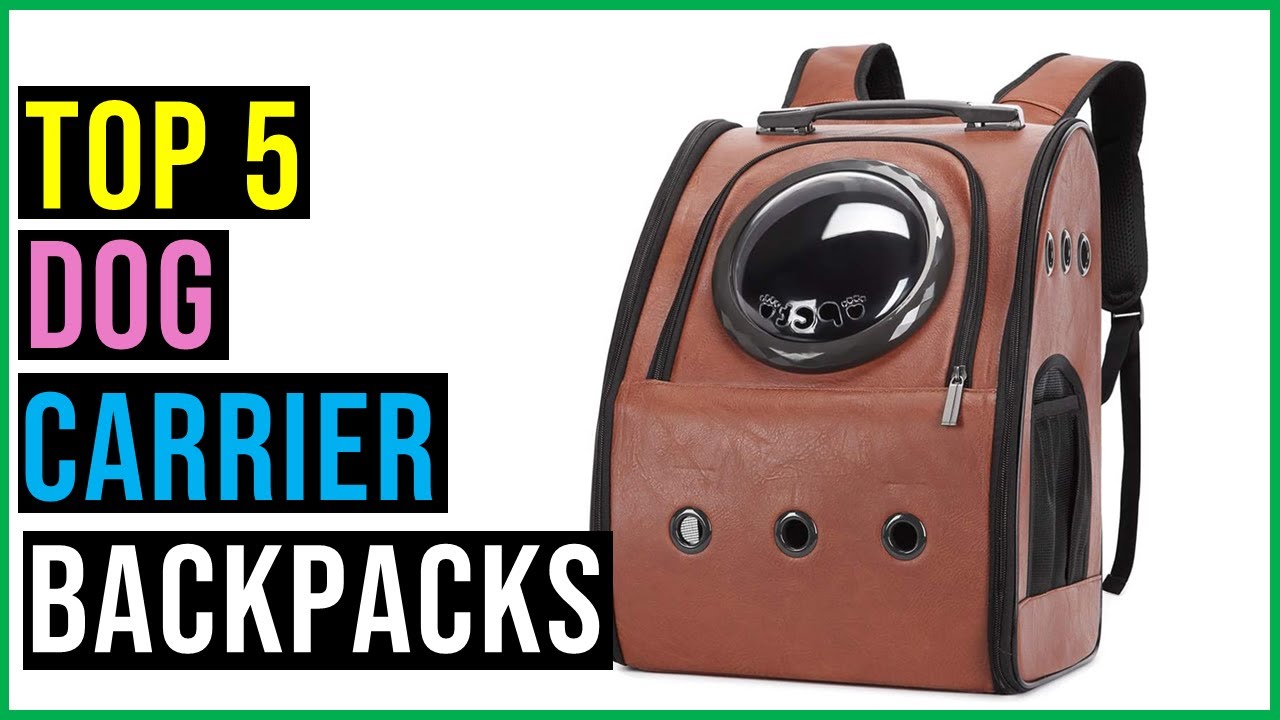 Top 5 BEST DOG CARRIER BACKPACKS Reviews in 2023 - The BEST DOG CARRIER BACKPACKS 2023