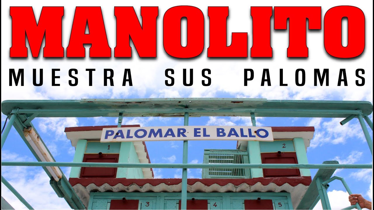Palomar de Manolito 