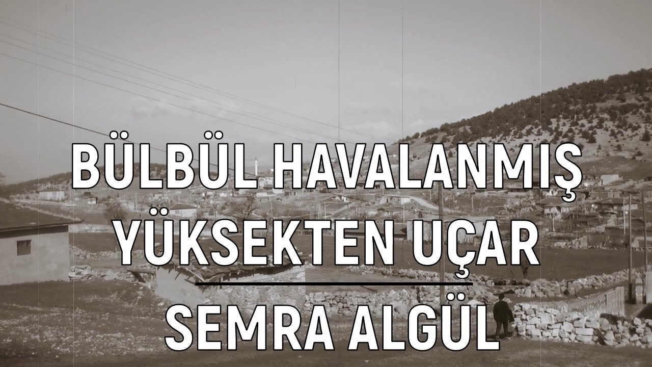 Bülbül Havalanmış  - Semra Algül (Bülbül Havalanmış Yüksekten Uçar)