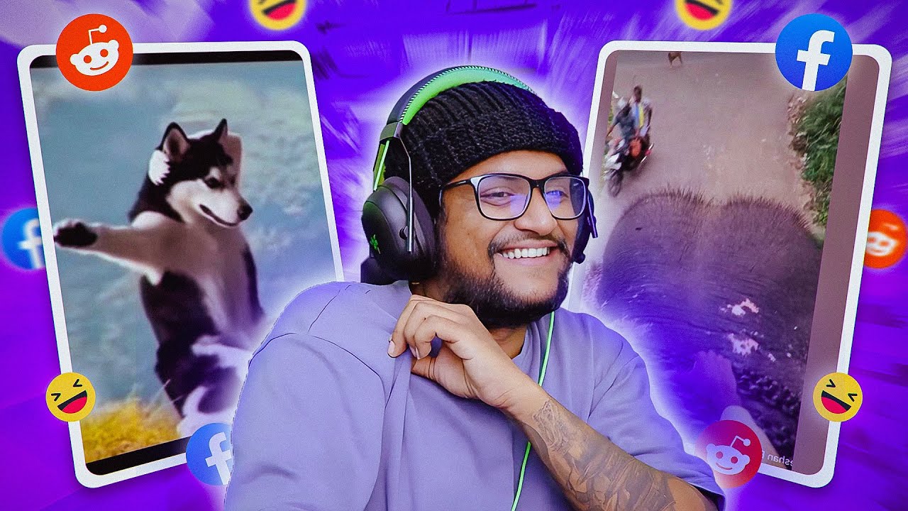  අලි වාහන සහ දේව දරුවෝ !! | The kota